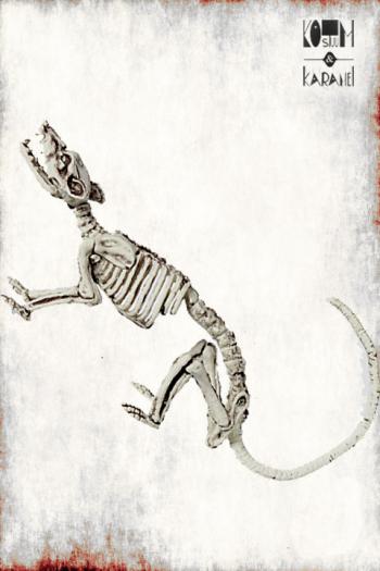 Skelet Rat Halloween Deco 38 cm
